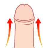 長茎手術（切らない・切る）
